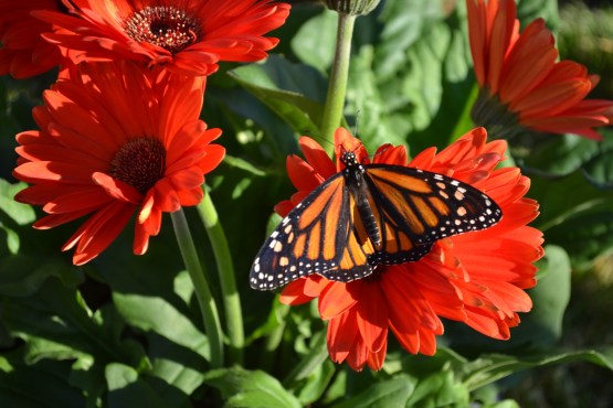 3E746976-E272-4735-8640-EF3922B19EA5