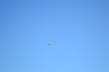 A686E178-8993-4134-B936-BFAE12F94F02